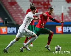 捷克队在欧预赛中雄风锐不可挡,胜势如破竹的简单介绍 捷克队在欧预赛中雄风锐不可挡,胜势如破竹的简单介绍