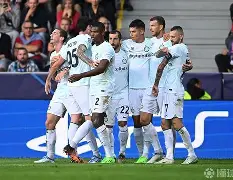 南特击败梅斯，客场豪取三分继续追赶积分的简单介绍