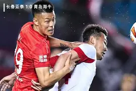 中国官网-多特蒙德主场不敌对手，遭遇惨败(多特蒙德近期比赛)