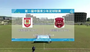 官方网站-关于大连一方队将与杭州绿城队在足球比赛中交手的信息