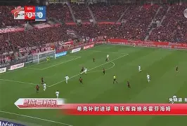 包含不伦瑞克客场击败霍芬海姆,迎来胜利的词条 包含不伦瑞克客场击败霍芬海姆,迎来胜利的词条